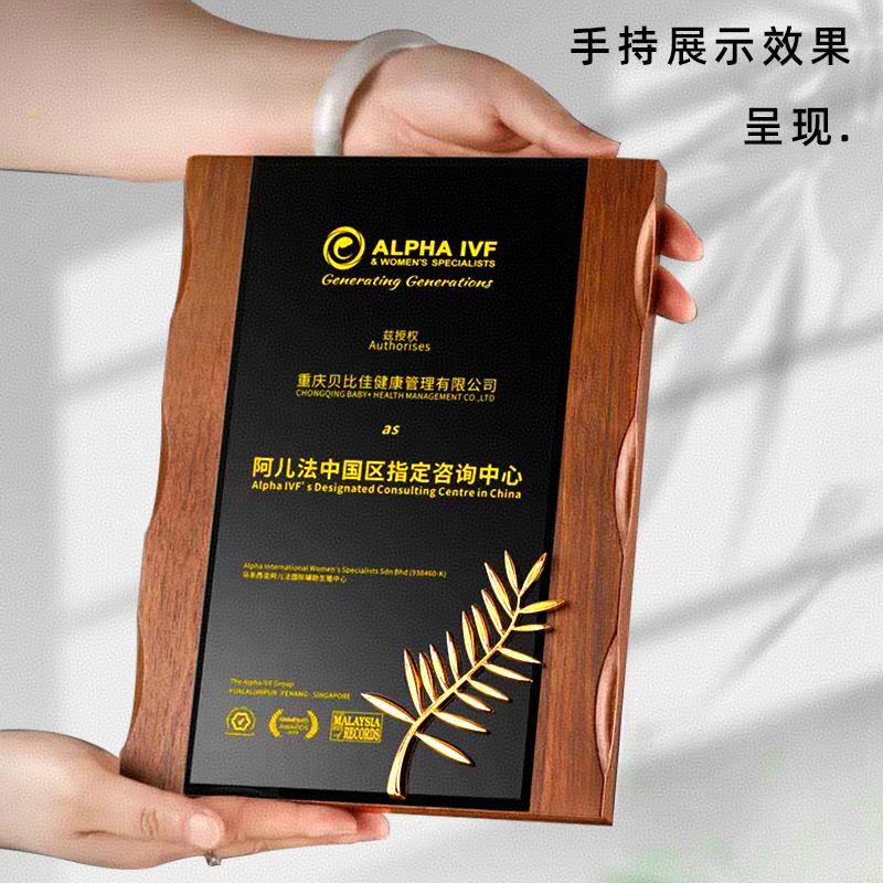 18*24花边胡桃木水晶奖牌（全系列）(图2)